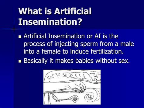 Free Insemination Porn Videos